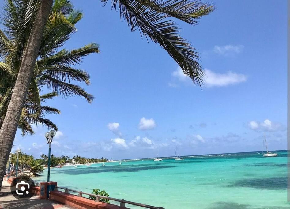 Appartement Les Pieds Dans L'Eau Sainte-Anne  Extérieur photo