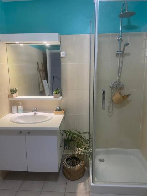 Appartement Les Pieds Dans L'Eau Sainte-Anne  Extérieur photo
